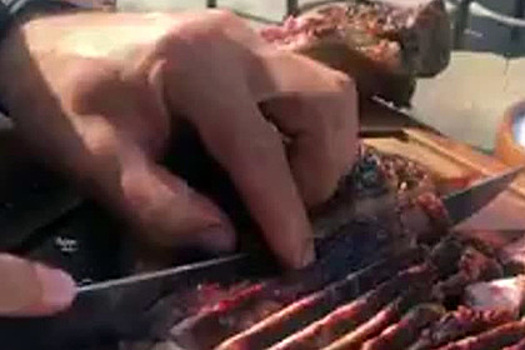 Саниспекция запретит турку из мема элегантно солить мясо