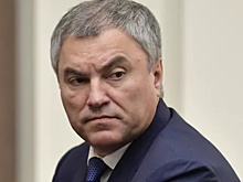 Володин: Если с Медведчуком что-то случится, отвечать придется Зеленскому