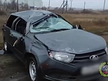 В аварии на трассе в Волгоградской области погибла женщина