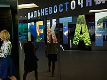 "Дальневосточный гектар" можно будет оформить досрочно
