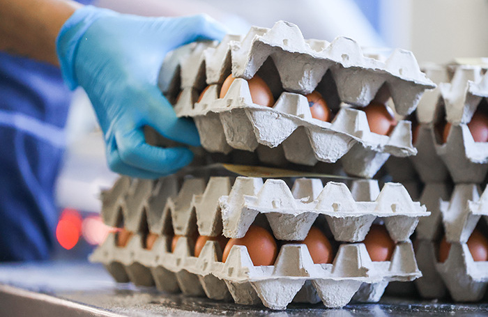 ФАС снова проверяет цены на яйца у крупнейших ретейлеров