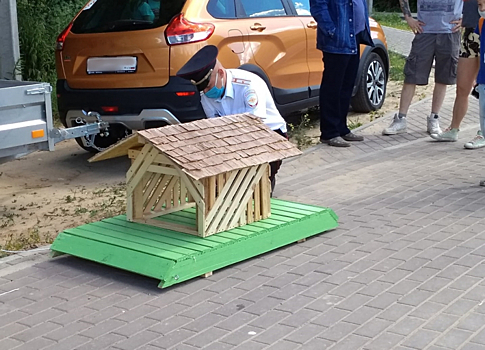 Фото дня: нижегородские полицейские смастерили дом для семьи уток в Борском районе