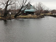 Бастрыкин заинтересовался захоронением химотходов на берегу Оки в Дзержинске