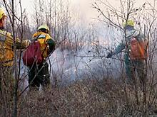 Жители нескольких деревень под Пышмой бьют тревогу из-за лесных пожаров