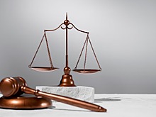 В Новосибирске начали распродавать имущество кандидата в депутаты горсовета