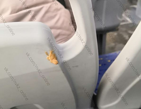 "Ну разве не свиньи?": грязные автобусы возмутили новокузнечанина