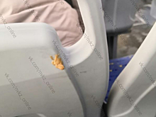 "Ну разве не свиньи?": грязные автобусы возмутили новокузнечанина