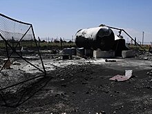 В Совфеде призвали жестко ответить на действия США в Сирии