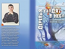 Лучезарный рассвет поэта Михаила Носова