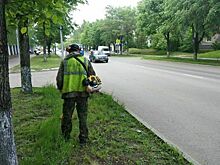 Кировских подрядчиков оштрафовали на 600 тысяч рублей за некошеные газоны