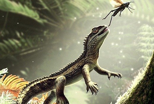 Найдена уникальная ископаемая рептилия