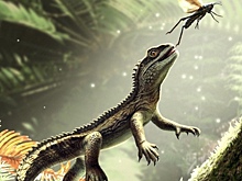 Найдена уникальная ископаемая рептилия