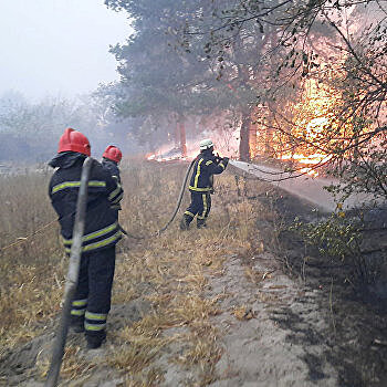 Новый круг ада. Почему горят леса на Донбассе