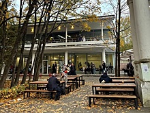 Что делать в Переделкино осенью