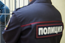 В Москве задержали кандидата в депутаты от "Яблока"