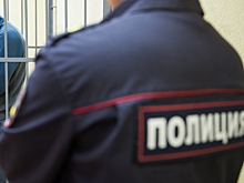 В Москве задержали кандидата в депутаты от "Яблока"