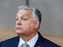 Пока вы не уснули: письмо Орбана Зеленскому и приговор Гуфу