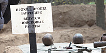 Никто не забыт: под Минском нашли останки восьми тысяч человек
