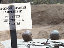 Никто не забыт: под Минском нашли останки восьми тысяч человек