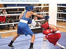 В спортзале на Икшинской улице прошли соревнования по боксу
