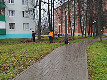 Работы по уборке листвы провели в Краснопахорском