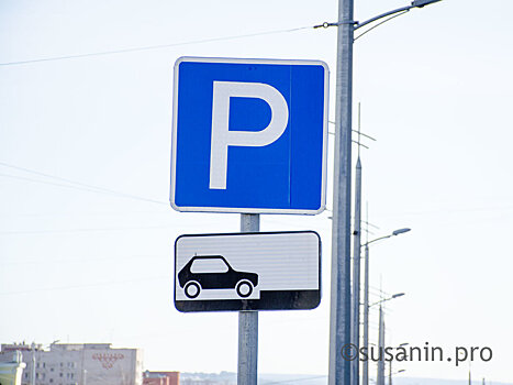80 млн рублей может вложить инвестор в платные парковки Ижевска
