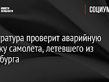 Прокуратура проверит аварийную посадку самолета, летевшего из Петербурга
