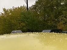 В Академгородке Новосибирска выпала снежная крупа