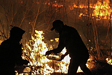 МЧС Тюменской области: лесной пожар больше не угрожает лыжной базе «Жемчужина Сибири»