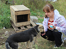 Саратовские росгвардейцы помогли спасти пострадавшую в ДТП собаку