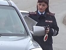 Стрелять по колесам нарушителя режима самоизоляции начали полицейские Удмуртии