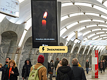 Можно ли застраховать здоровье и жизнь от теракта? Отвечают эксперты