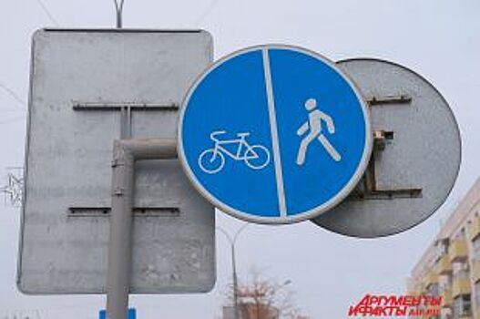 В Петербурге выбрали подрядчиков для проектирования велодорожек
