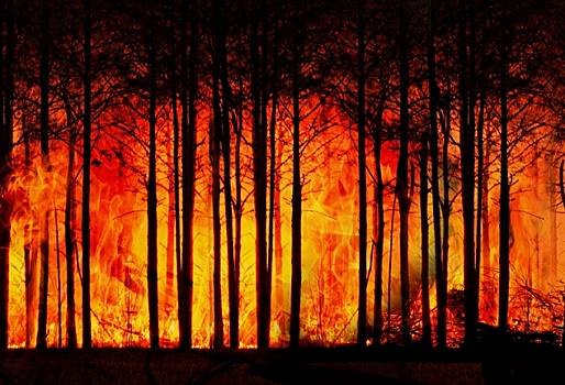 В Омской области с 21 апреля начнется пожароопасный сезон