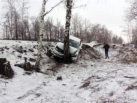 Четыре человека пострадали во врезавшемся в березу Volkswagen