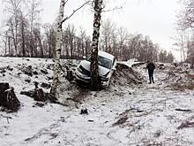 Четыре человека пострадали во врезавшемся в березу Volkswagen