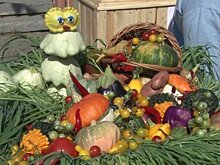 В Заречном из-за коронавируса отменили осеннюю ярмарку