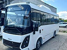 Петербург до конца февраля 2024 года закупит еще 348 новых автобусов