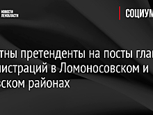 Известны претенденты на посты глав администраций в Ломоносовском и Кировском районах
