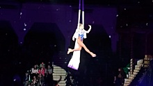 Гимнастка сорвалась с высоты в столичном центре цирковых искусств