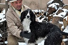 Сельчане в Киргизии спасли раненого рысенка