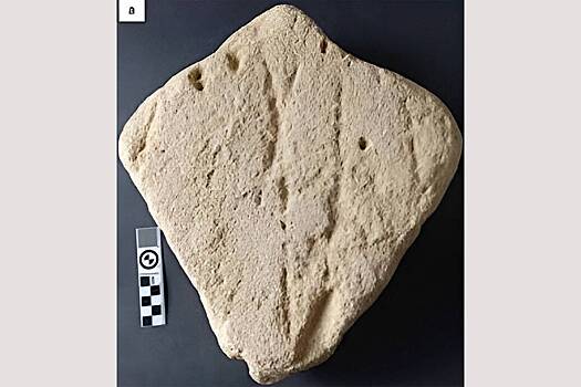 Обнаружена древнейшая каменная скульптура