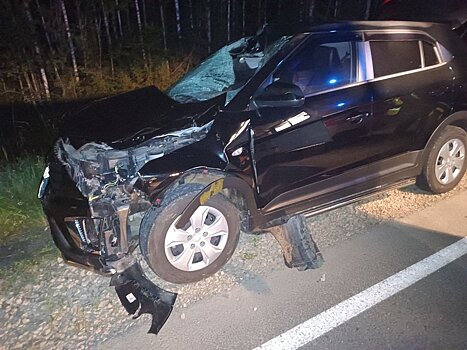 В Кикнурском районе капот «Хендай» смяло после «встречи» с лосем