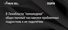 В Ленобласти "помолодеют" общественные наставники проблемных подростков и их подопечны