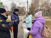 За неделю в Удмуртии привлекли к ответственности почти 300 пешеходов-нарушителей