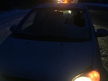 Водитель Hyundai Getz насмерть сбил пешехода на трассе Омск — Черлак