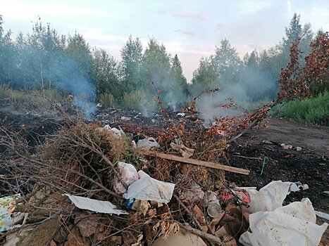 Котельничские чиновники рекультивируют свалку, которую создали сами