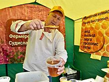 Пять тонн костромского меда уехали в другие города и осели в банках у горожан