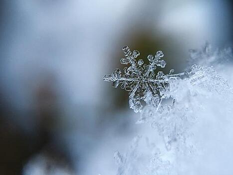 Синоптики назвали дату первого снегопада в Москве