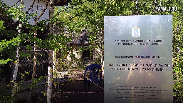 На Ямале сотрудники музея провели субботник в бывшем сталинском лагере 501-й стройки. ВИДЕО